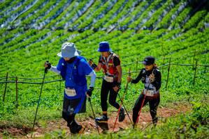 BIB: 1443
                            <button type="button" onclick="openModal(19164204)" class="btn btn-primary btn-sm float-right btn-popup" data-toggle="modal" data-target=".modal-high-quality">
                        <i class="fas fa-shopping-cart"></i> Add to Cart
                    </button>
                                            <button type="button" onclick="isThisMe(19164204, true)" class="btn btn-success btn-sm float-right btn-popup btn-isme hidden" data-toggle="tooltip" data-placement="bottom" title="นี่คือรูปของคุณใช่ไหม คลิกที่นี่เพื่อเอาเข้าอัลบั้ม">
                        <i class="fas fa-plus"></i> Add to album
                    </button>
                    <button type="button" onclick="isThisMe(19164204, false)" class="btn btn-warning btn-sm float-right btn-popup btn-isnotme hidden">
                        <i class="fas fa-ban"></i> Remove from album
                    </button>